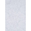 J-3 LAIT NEW 2D/165G1 1000PWON
